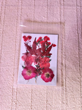 Load image into Gallery viewer, DIY Pressed Flower Bookmark Kit